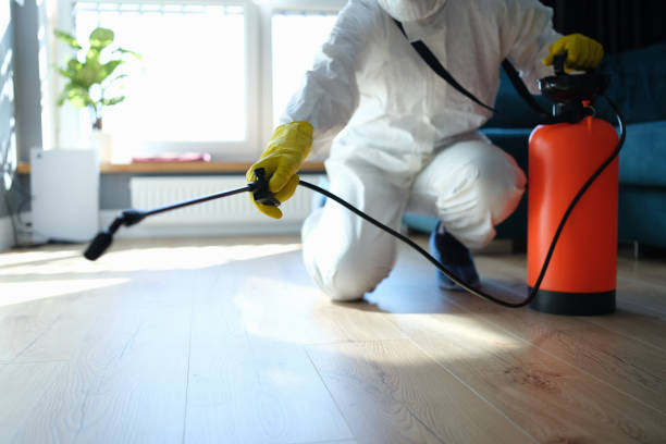 Best Wasp Removal Services  in Lexington, MI