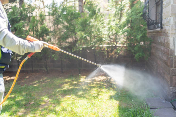 Best Local Pest Control Services  in Lexington, MI