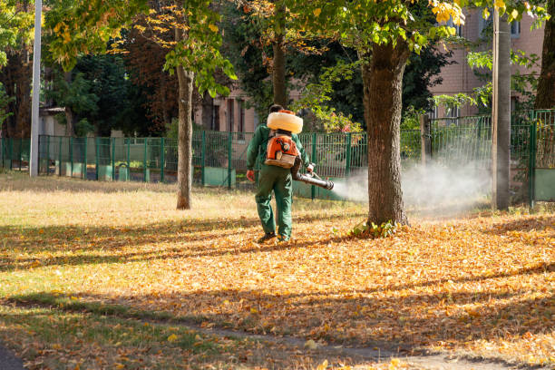 Wasp Removal Services in Lexington, MI