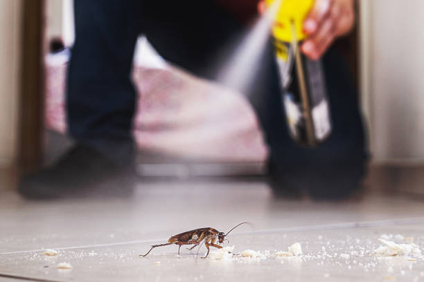 Best Best Pest Control Companies  in Lexington, MI